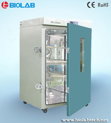 DHG-9420B   300℃电热鼓风干燥箱  